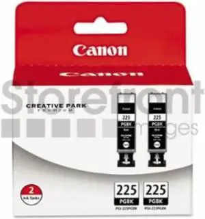 CANON BR IP4820 2-PGI225 SD PGMNT BLACK