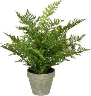Vickerman 19" Green Fern In Pot - FJ190419