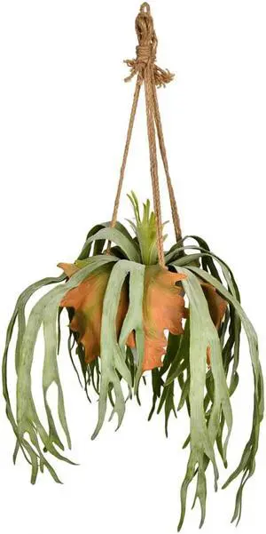 Vickerman 22"  Staghorn Fern in Hnging Ceramic Pot - FH192001