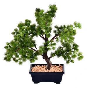 12" Potted Pine Bonsai Tree 12" Potted Pine Bonsai Tree