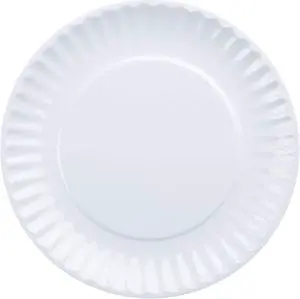 DII White Melamine Picnic Plate (Set of 12)