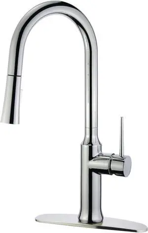 Gourmetier LS2721NYL Single-Handle Pull-Down Kitchen Faucet, Polished Chrome
