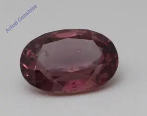 Oval Cut Natural Mined Loose Sapphire (1.39 Ct,Pink Color,SI2 Clarity) GIA Certified