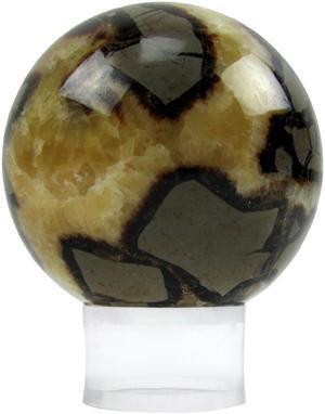 Treasure Gurus Large 1.5" Clear Acrylic Ring Sphere Golf Ball Display Stand Beveled Baseball Marble Riser