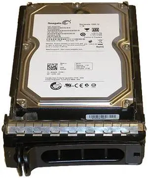 DELL 1TB 7200RPM 3GB PER SECOND SATA 3.5 INCH HARD DRIVE  NEW BULK BARE DRIVE 
3 YEAR WARRANTY THRU TECH EXPERTS