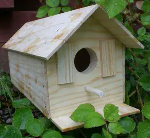 Hammond Toys Wood Bird House Kit Complete With Nails Wooden DIY Project