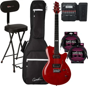 Godin (047604) DS-1 Daryl Stuermer Signature Electric Guitar, Gator GFW-GTR-SEAT, Zoom G1X Effects Pedal, (2) ErnieBall Cables Bundle Godin (047604) DS-1 Daryl Stuermer Signature Electric Guitar, Gator GFW-GTR-SEAT, Zoom G1X Effects Pedal, (2) ErnieBall Cables Bundle