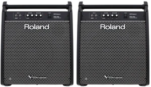 Roland PM-200 180-watt 1x12" (Pair) Roland PM-200 180-watt 1x12" (Pair)