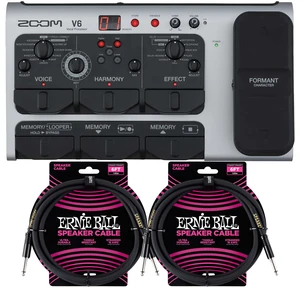 Zoom V6-SP Vocal Effects Processor, (2) ErnieBall Cables Bundle Zoom V6-SP Vocal Effects Processor, (2) ErnieBall Cables Bundle