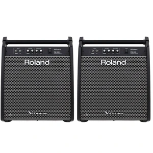 Roland PM-200 180-watt 1x12" (Pair) Roland PM-200 180-watt 1x12" (Pair)