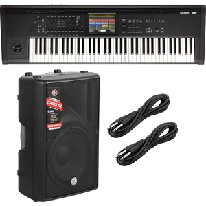 Korg Kronos 3 73-key Music Workstation - PSG AUDIO Cobra 112A - 1/4 Cable Bundle Korg Kronos 3 73-key Music Workstation - PSG AUDIO Cobra 112A - 1/4 Cable Bundle