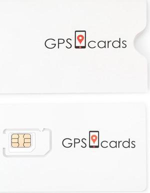 GPS.cards SIM for GlobalSat TR-313 GPS Vehicle Tracker + Commercial GPS Platform