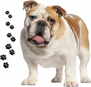Andreas Round Silicone Mat Jar Opener, Bulldog Dog, 6.25 Inch Andreas Round Silicone Mat Jar Opener, Bulldog Dog, 6.25 Inch