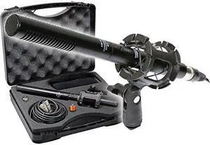 Canon VIXIA HF R70 Camcorder External Microphone - by Vidpro