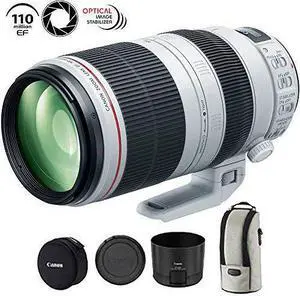 Canon EF 100-400mm f/4.5-5.6L is II USM Lens - 9524B002 (Renewed)