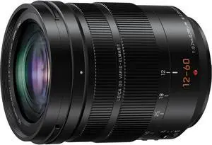 PANASONIC LUMIX Professional 12-60mm Camera Lens, Leica DG Vario-ELMARIT, F2.8-4.0 ASPH, Dual I.S. 2.0 with Power O.I.S,