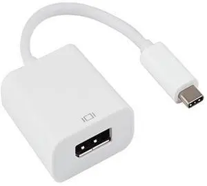 SANOXY Cables and Adapters; USB 3.1 Type C Male to DisplayPort Female Adapter