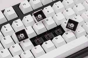 Mistel Doubleshot PBT Keycaps for Mechanical Keyboard with Cherry MX Switches and Clones, OEM Profile 108 Keys Plus Extra 11 Keys Set, PBT Keycaps with 6.25U Space Bar for PC Gaming Keyboard, White