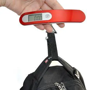 iKKEGOL 50Kg/110lb 10g Digital Luggage Hand Hanging Fishing Travel Weight Scale Strap RE (Red)