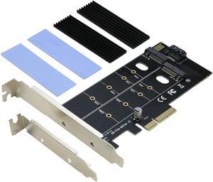 Dual M.2 PCIe 4x Adapter for SATA or PCIe NVMe SSD with Heatsink, RIITOP M.2 SSD NVME (M Key) and SATA (B Key) 22110 2280 2260 2242 2230 to PCI-e x 4 Host Controller Expansion Card