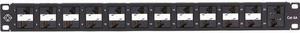 Black Box Category 6A Panel C6APP7024R2