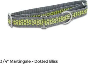 PetSafe Fido Finery Martingale Style Collar (3/4" Medium, Dotted Bliss)