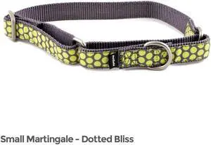 PetSafe Fido Finery Martingale Style Collar (3/4" Small, Dotted Bliss)