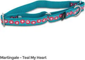 PetSafe Fido Finery Martingale Style Collar (1" Large, Teal My Heart)