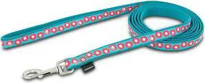 PetSafe Fido Finery Leash (Teal My Heart, 6' x 1/2")