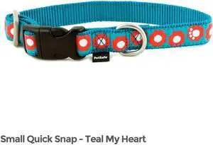 PetSafe Fido Finery Quick Snap Buckle Pet Dog Collar Small Teal My Heart