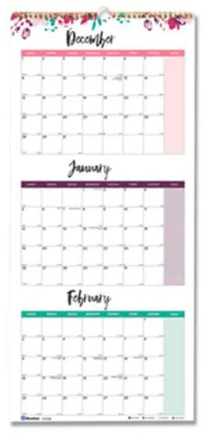 2025-2027 Blueline 3-Month Wall Calendar, 12-1/4" x 27", Passion, December 2025 To January 2027, C171129