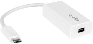 Rocstor USB C to Mini DisplayPort Adapter USB C to mDP Adapter 4K 60Hz Y10A241W1