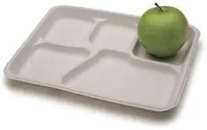 Savaday Molded Fiber Dinnerware 5-Compartment Plate Paper 10.5" dia White 250/Carton 21040