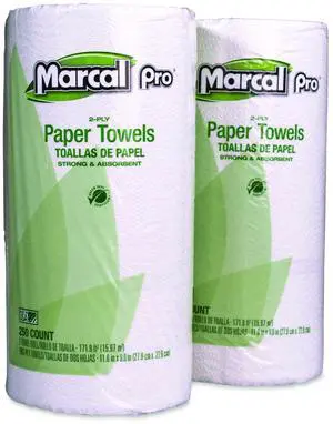 100% Premium Recycled Kitchen Roll Towels 2-Ply 11 x 8.8 White 12 Rolls/Carton 250HC