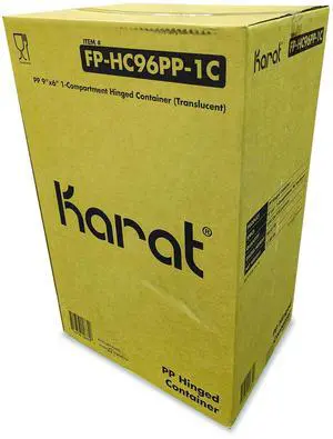 Polypropylene Plastic Hinged Container 6 x 9 x 2.97 Clear Plastic 125/Pack 2 Packs/Carton FPHC96PP1C