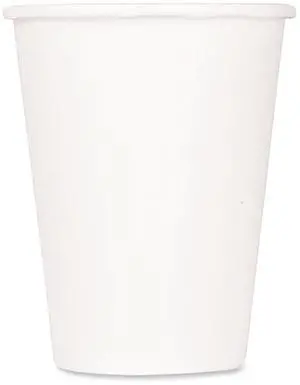 Double Poly Paper Cold Cups 9 oz White 1000/Carton CKCP9W