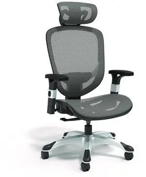 Alera Minerva Ergonomic Mesh Swivel Task Chair Supports Up to 275lb 17.24 to 20.98 Seat Height Gray Seat/Back Silver Base ALEMV41BME48