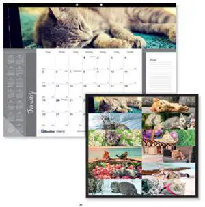 BlueLine Pets Collection Monthly Desk Pad 22x17 Furry Kittens 2026 C194115