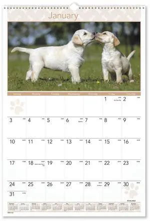 AT-A-GLANCE® 2026 Puppies Monthly Wall Calendar, Large, 15 1/2" x 22 3/4"