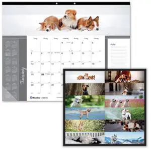 2026 Blueline® Colorful Monthly Desk Pad Calendar, 22 x 17, Best Friends, January To December, C194116