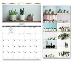 2026 Blueline Colorful Monthly Wall Calendar, 12" x 17", Minimalist, January To December, C173121 2026 Blueline Colorful Monthly Wall Calendar, 12" x 17", Minimalist, January To December, C173121