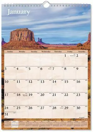 At-A-Glance Scenic Monthly Wall Calendar 12x17 2026 DMW20028