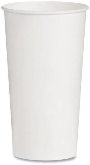 Double-Sided Poly DSP Paper Cold Cups 21 oz White 1000/Carton RNP21P2050 Double-Sided Poly DSP Paper Cold Cups 21 oz White 1000/Carton RNP21P2050