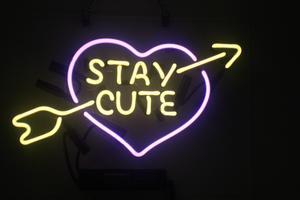 Fashion Handcraft Tube Stay Cute Real Glass Tubes For Display Neon Light Sign 14x9!!!Best Offer!