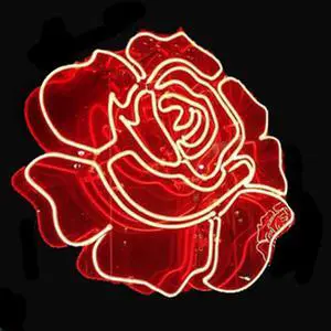 Neon Signs Red Rose Beer Bar Pub Recreation Room Or Girls Room Lights Windows Wall Signs Or For  Christmas Gift 19x15