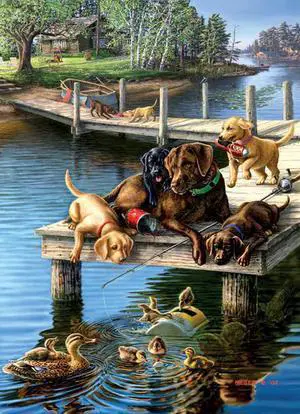 Summer School 500+ Piece Jigsaw Puzzle by SunsOut