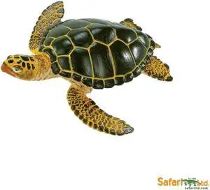 Safari Wild Safari SeaLlife Green Sea Turtle