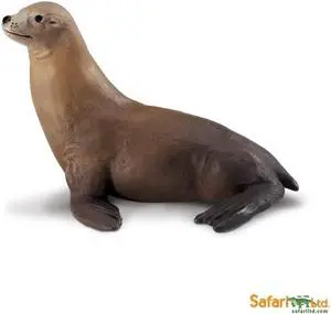 Safari Wild Safari Sealife Sea Lion