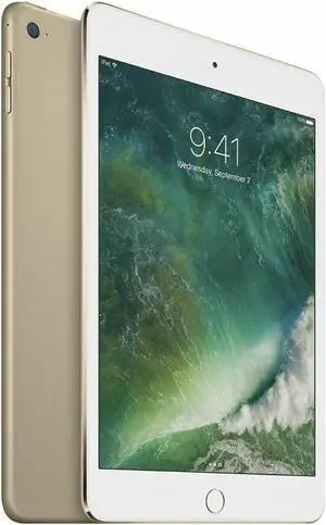 Apple iPad mini 4 (4th Gen) 16GB - Wi-Fi + Cellular Unlocked - 7.9" - Gold - (2015) - Good Condition
