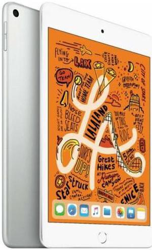 Apple iPad mini 5 (5th Gen) 256GB - Wi-Fi + Cellular Unlocked - 7.9" - Silver - (2019)